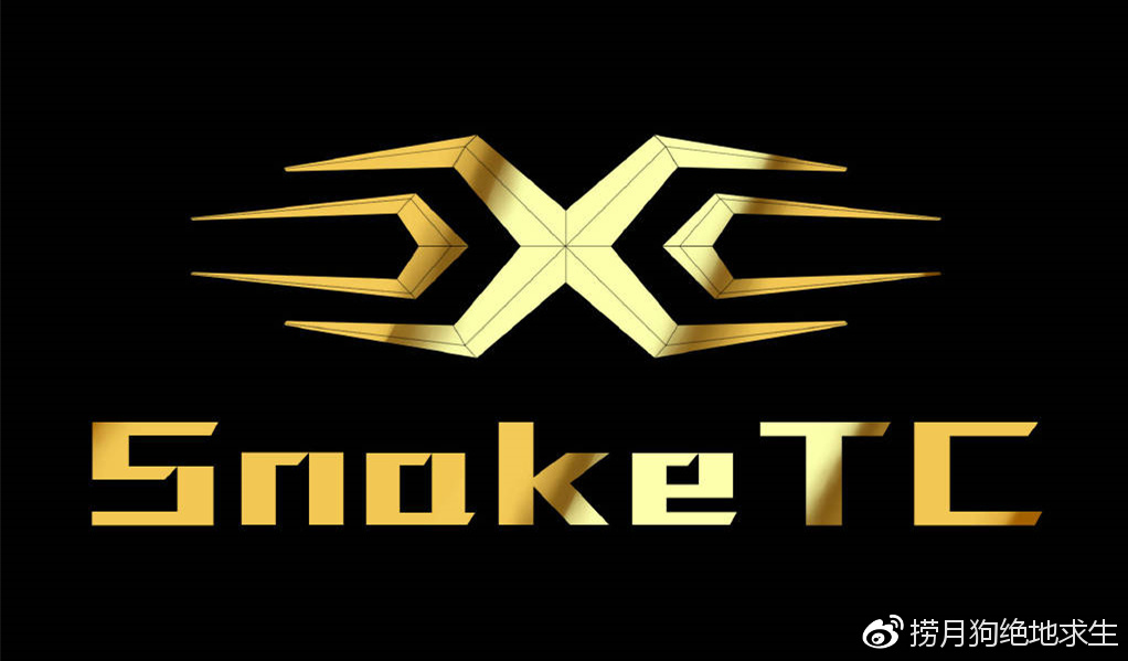 关于Karsa关键节点战术调整，TL带队取胜！的信息